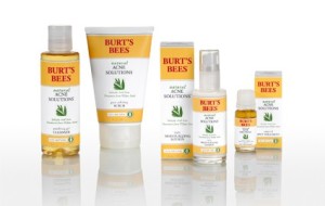 Clear Shampoo & Gud by Burt's Bees | Blair Blogs