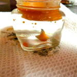 How To Remove Wax From A Candle Jar | Blair Blogs