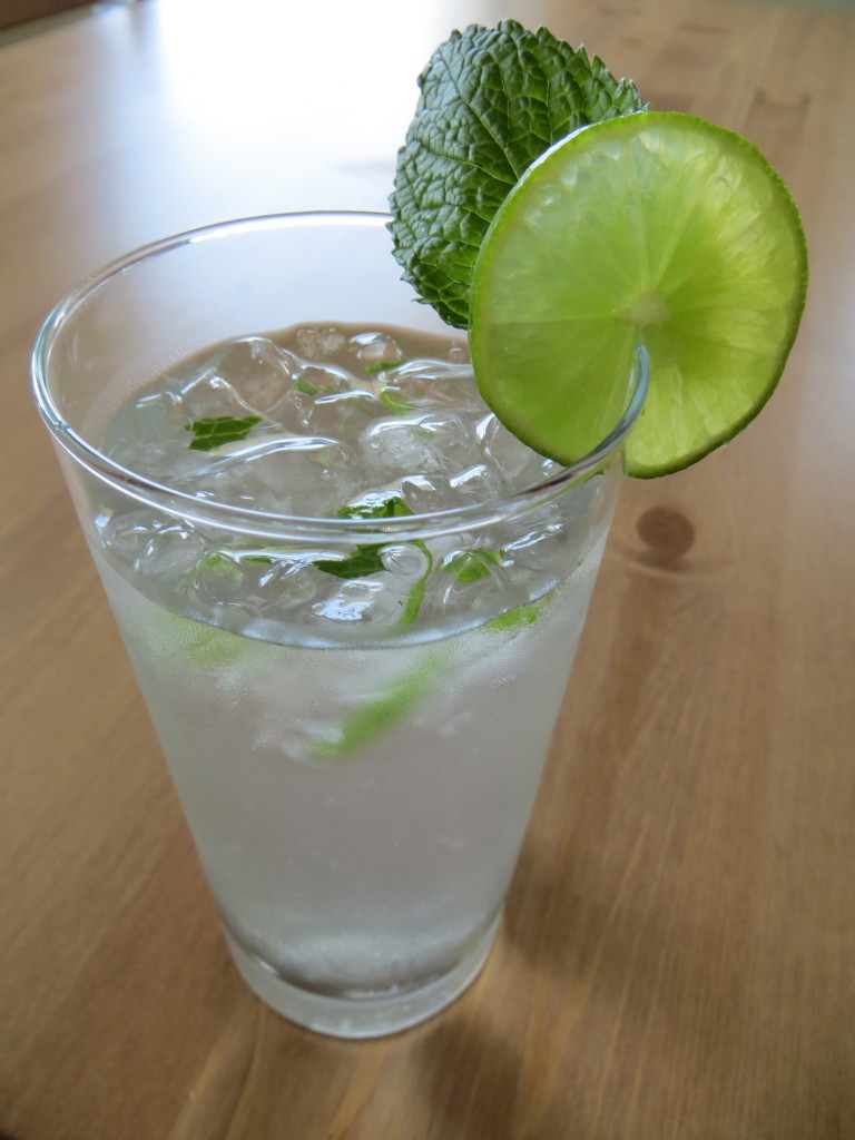 Delicious Refreshing Summer Mint Lime Water Recipe | Blair Blogs
