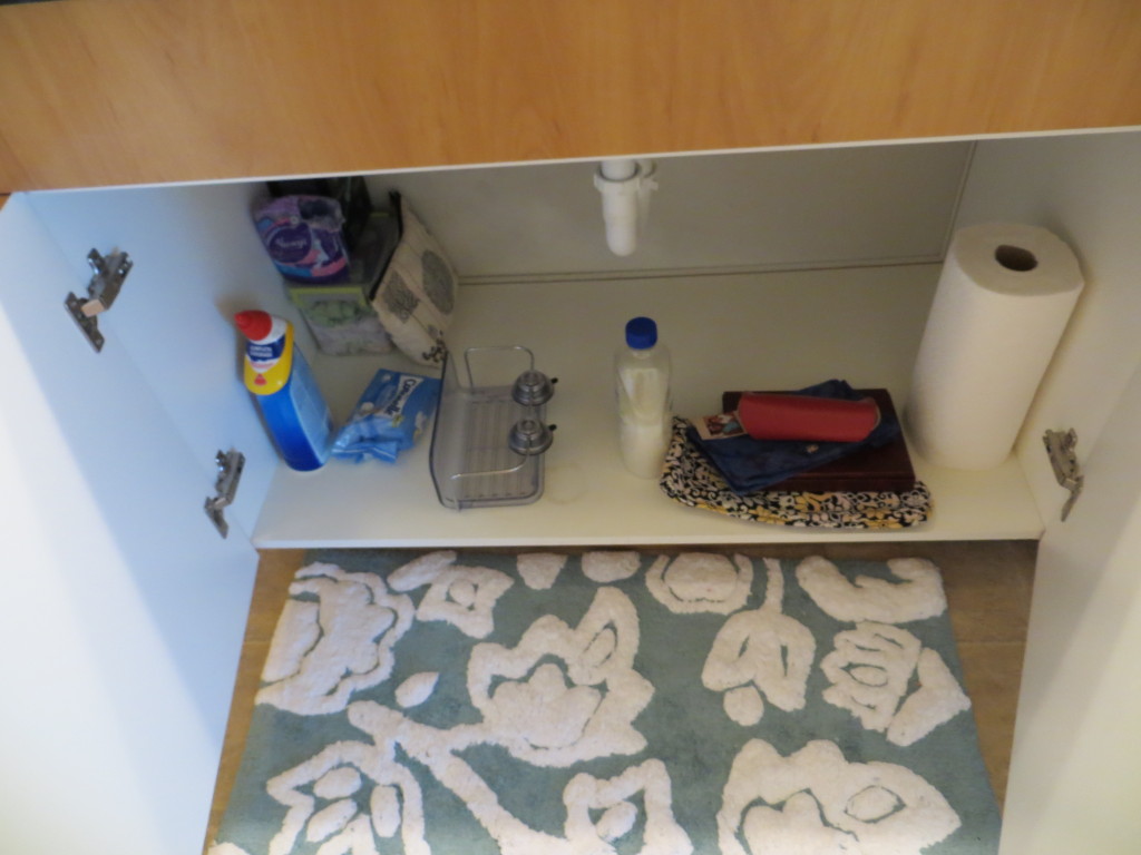 Organize a small apartment bathroom | Blair Blogs