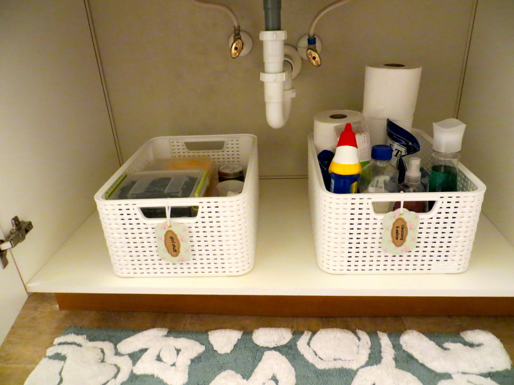 Organize a small apartment bathroom | Blair Blogs