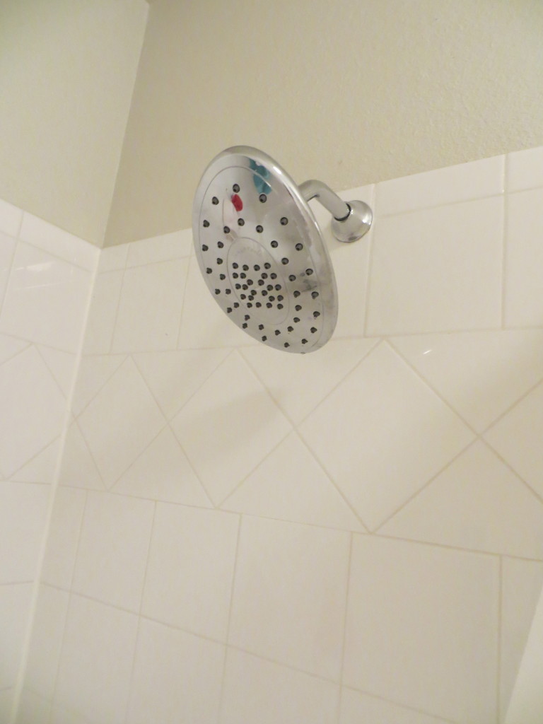 Organize the Inside of Your Shower | Blair Blogs