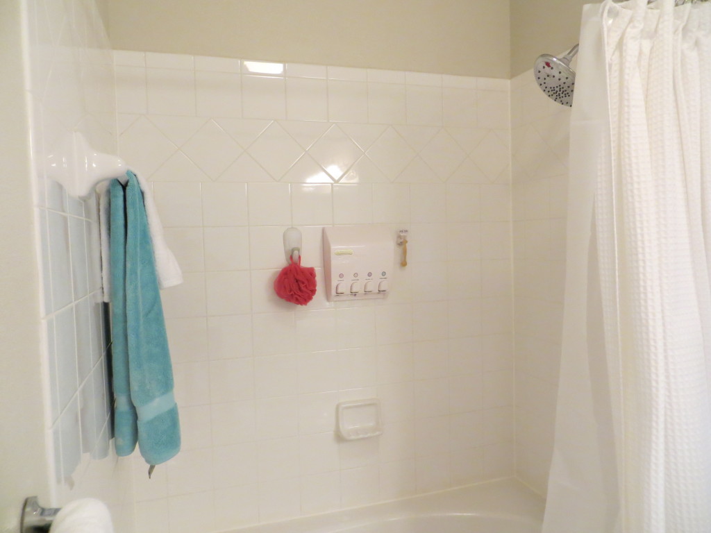 Organize the Inside of Your Shower | Blair Blogs