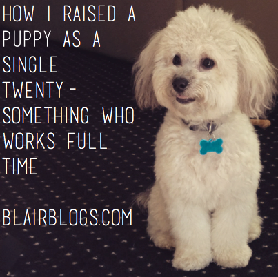 How I Raised a Puppy as a Single Twenty-Something Who Works Full Time | Blair Blogs