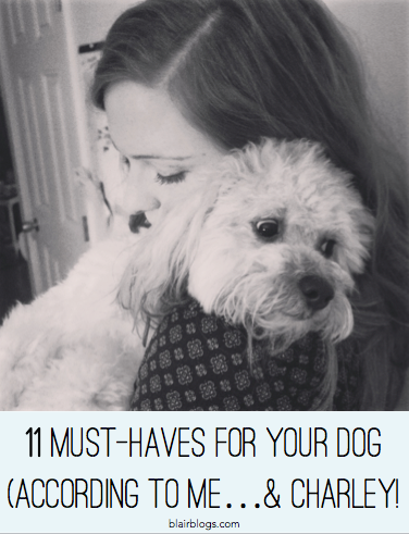 11 Must-Haves for Your Dog (according to me & Charley) | Blairblogs.com