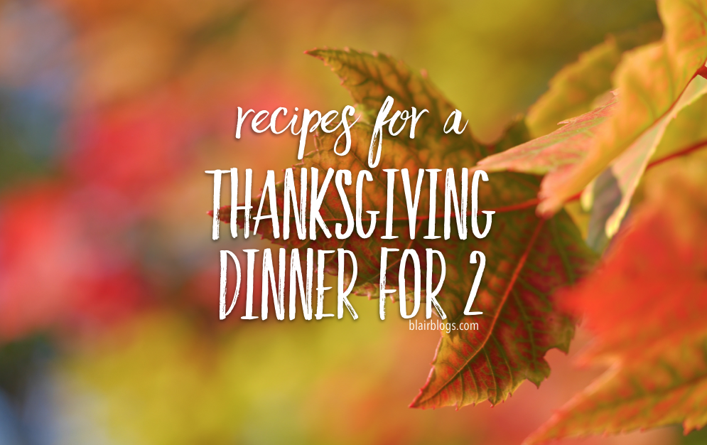 Recipes For a Thanksgiving Dinner for 2 | Blairblogs.com