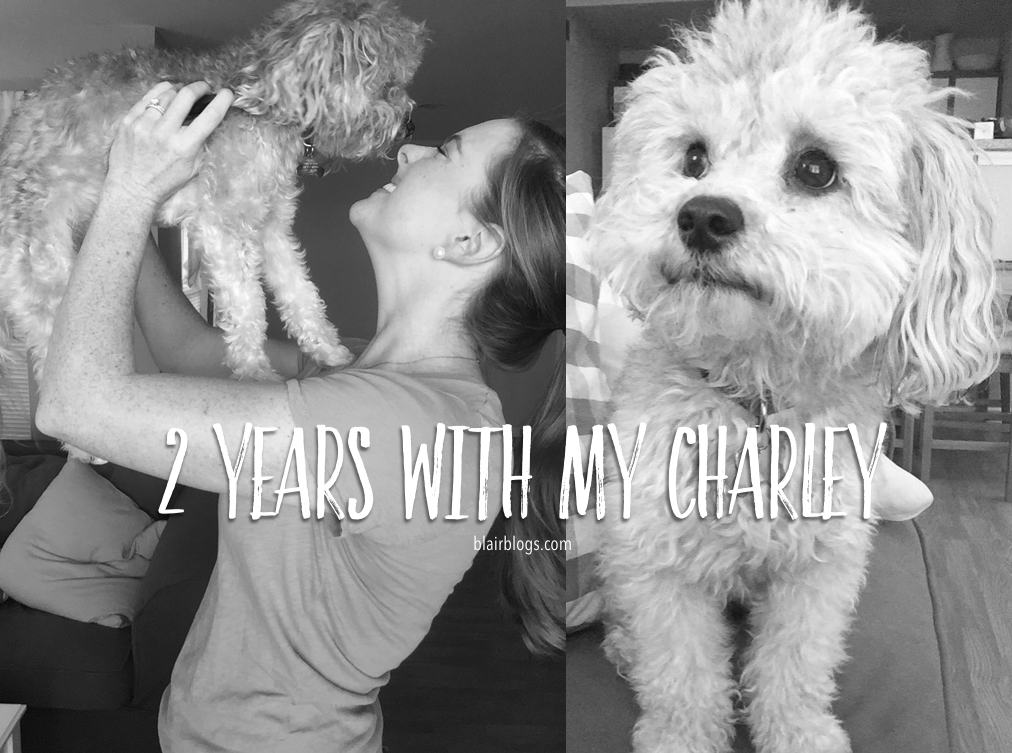 2 Years With My Charley | Blairblogs.com