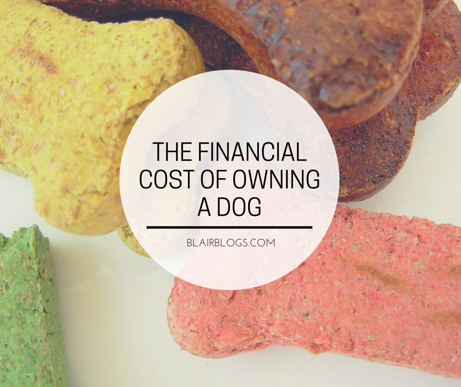 The Financial Cost of Owning a Dog | Blairblogs.com