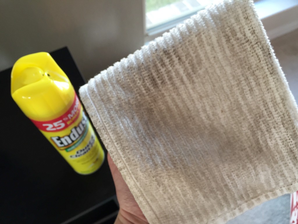 Endust Multi-Surface Dusting Spray | Blair Blogs