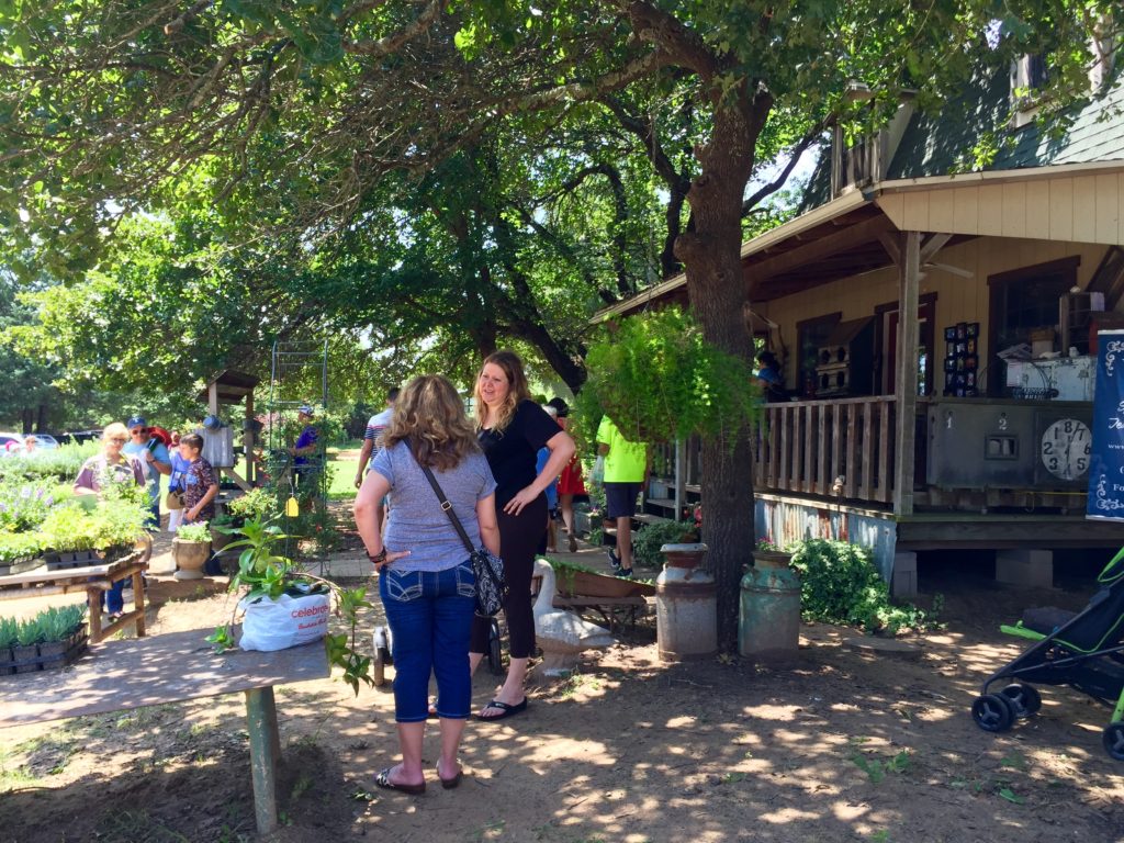 Lavender Festival | BlairBlogs.com