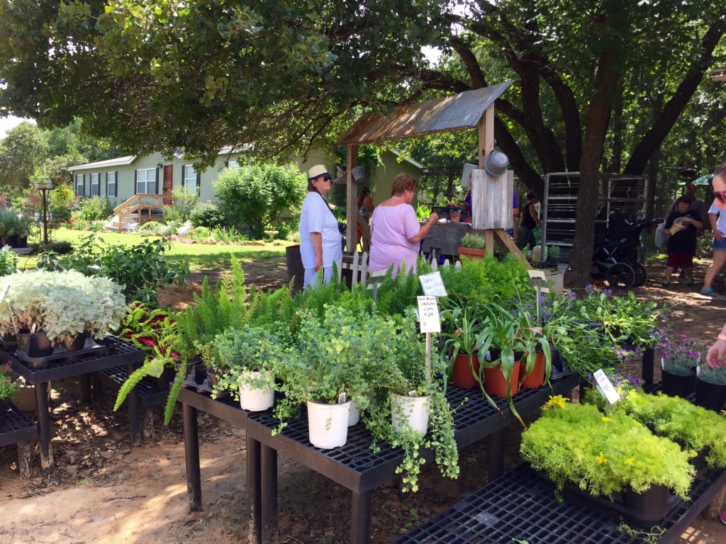 Lavender Festival | BlairBlogs.com