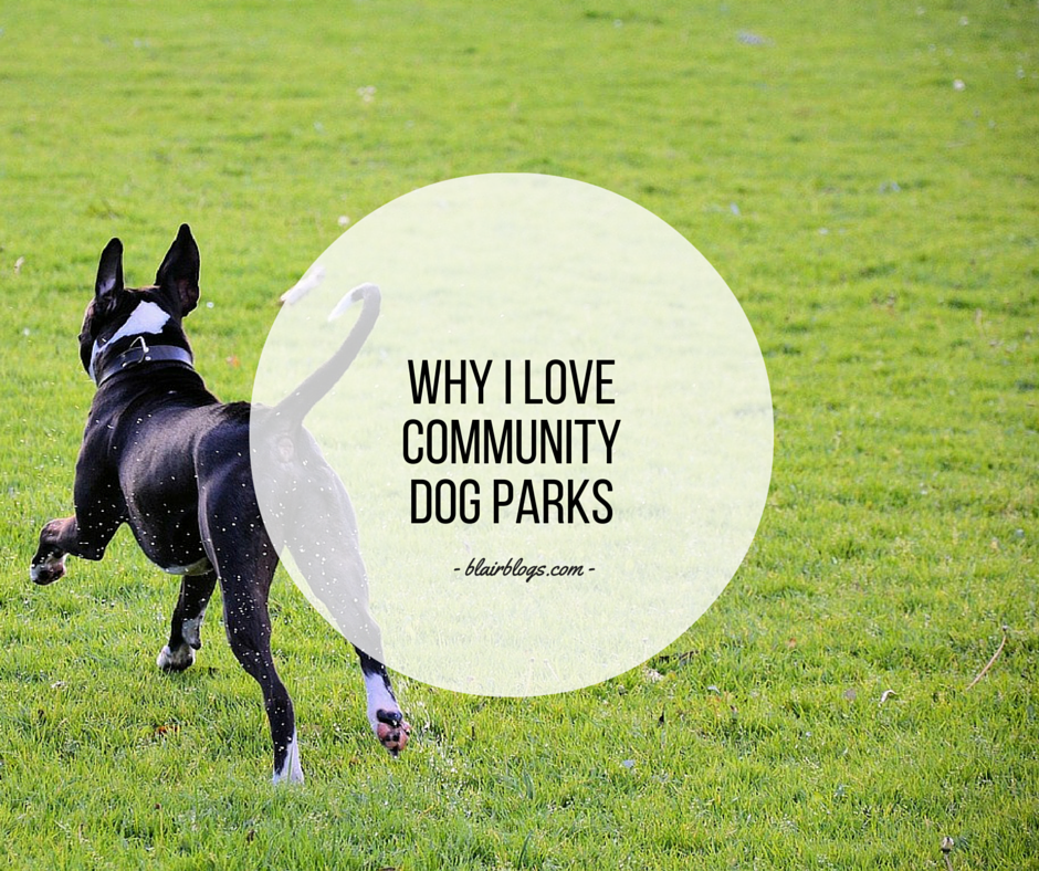 Why I Love Community Dog Parks | Blairblogs.com