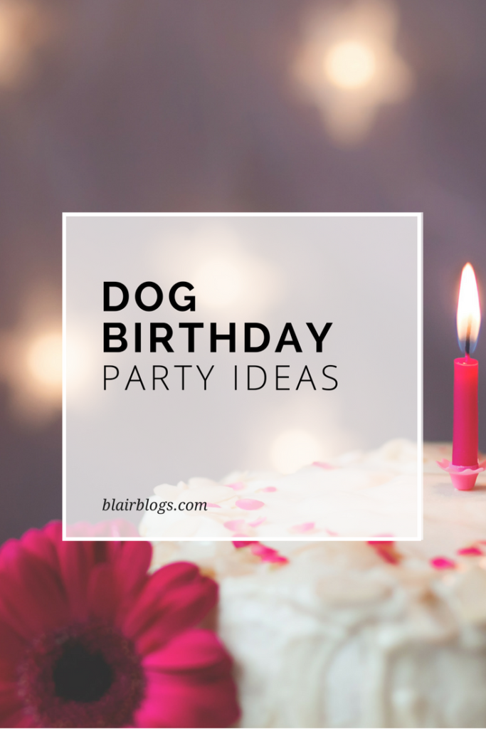 Dog Birthday Party Ideas | Blairblogs.com