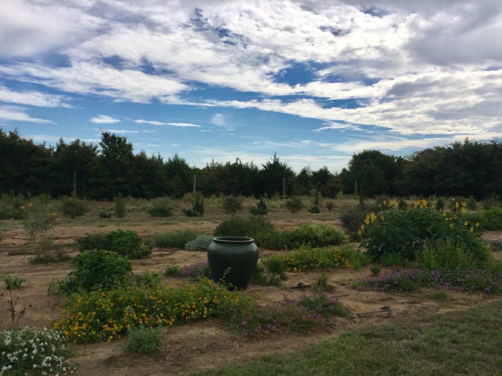 Fall Festival at Lavender Ridge Farm in Gainesville, Texas | BlairBlogs.com