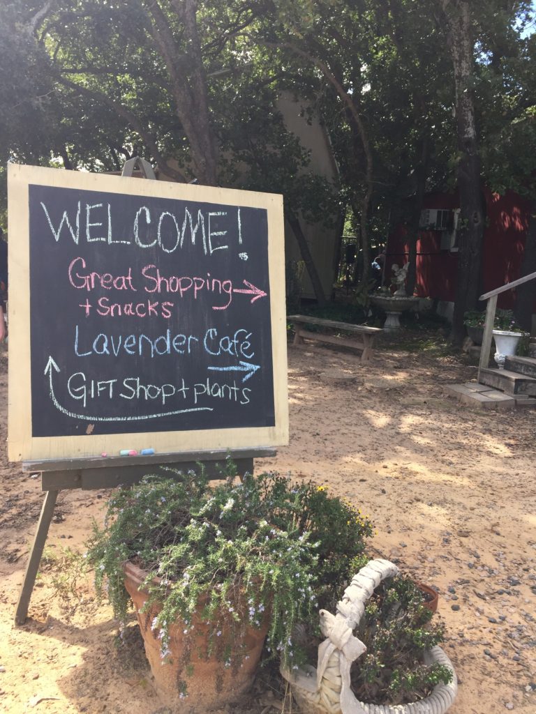 Fall Festival at Lavender Ridge Farm in Gainesville, Texas | BlairBlogs.com