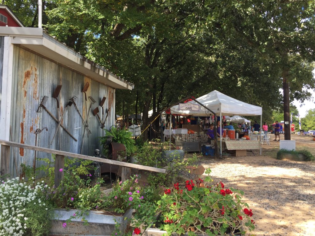 Fall Festival at Lavender Ridge Farm in Gainesville, Texas | BlairBlogs.com